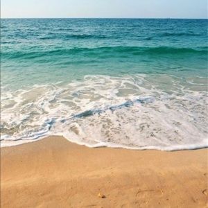 Meet your Posher, Paul